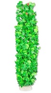 RASTLINNÁ FÓLIA 65CM 6F38 RASTLINNÁ FÓLIA 65CM 6F38