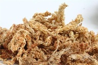 Sphagnum CHILE sphagnum mach 250g Sphagnum CHILE sphagnum mach 250g
