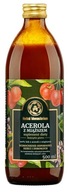 ACEROLA ŠŤAVA S DRUŽINOU 100% VITA C 500 ML BYLINK. ACEROLA ŠŤAVA S DRUŽINOU 100% VITA C 500 ML BYLINK.