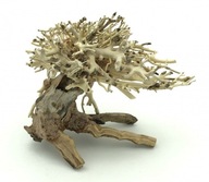 Bonsai Driftwood 15cm x 12cm č.13
