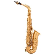 ARNOLDS & SONS AAS-110 ALTO SAXOPHONE + Púzdro