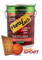 HartzLack Super Strong HS 5L Sport System Gloss HartzLack Super Strong HS 5L Sport System Gloss