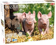 Taktické PUZZLE Prasiatka 1000 dielikov Taktické PUZZLE Prasiatka 1000 dielikov
