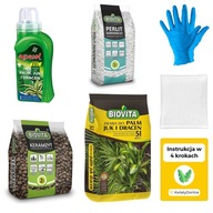 Sada na presádzanie PALM JUK AND DRACEN 6v1 Sada na presádzanie PALM JUK AND DRACEN 6v1