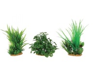 ZOLUX Plant Display M 6 ks - sada B ZOLUX Plant Display M 6 ks - sada B