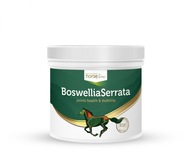 HorseLine Boswellia Serrata KĹBY pre kone 500 g HorseLine Boswellia Serrata KĹBY pre kone 500 g