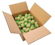 TUČNÉ GULIČKY PRE VTÁKY 100x90G krmivo osivo TUČNÉ GULIČKY PRE VTÁKY 100x90G krmivo osivo