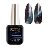 Hybridný lak na nechty Nails Company 6ml - Iguana 2007 Hybridný lak na nechty Nails Company 6ml - Iguana 2007