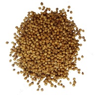 Koriandrové semienko - 1000 g (4 x 250 g) Koriandrové semienko - 1000 g (4 x 250 g)