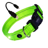 COLOR Svietiaci LED obojok pre psov Nobby XS-S COLOR Svietiaci LED obojok pre psov Nobby XS-S