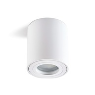 SPOT AQUALOCK vodotesné stropné svietidlo TUBA, biele SPOT AQUALOCK vodotesné stropné svietidlo TUBA, biele