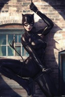 Plagát Catwoman Bodové svetlo DC Comics 61x91,5 cm
