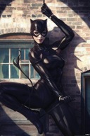 Plagát Catwoman Bodové svetlo DC Comics 61x91,5 cm Plagát Catwoman Bodové svetlo DC Comics 61x91,5 cm