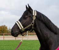 Ohlávka HKM Allure Cheval Olive COB Ohlávka HKM Allure Cheval Olive COB