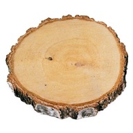 Drevený plátok s priemerom 15-20 cm, hrúbka 2 cm - 1 ks