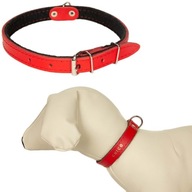 Kožený obojok s filcovým psíkom 53-65cm/30mm Červený Kožený obojok s filcovým psíkom 53-65cm/30mm Červený
