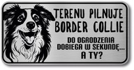Vtipné znamenie psíka border kólie