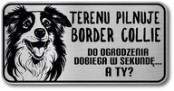 Vtipné znamenie psíka border kólie Vtipné znamenie psíka border kólie