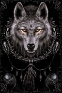Plagát WOLF DREAMS 61x91cm Plagát WOLF DREAMS 61x91cm