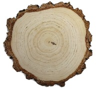 Brezové drevené plátky 23-26cm Hrubá kôra