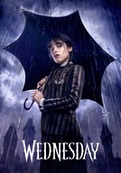 Plagát Obraz Wednesday Addams Family 70x50cm #181 Plagát Obraz Wednesday Addams Family 70x50cm #181