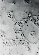 Moderný plagát Plagát rám Abstrakt 50x70 Moderný plagát Plagát rám Abstrakt 50x70