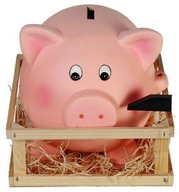 PIGGY BANK PIG darček k narodeninám HAMMER