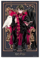 Harry Potter Čarodejnícka dynastia Harry - plagát 61x91,5 Harry Potter Čarodejnícka dynastia Harry - plagát 61x91,5