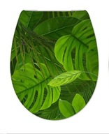 WC sedátko, pomalé zatváranie, univerzálna dekoračná farba DECOR WC sedátko, pomalé zatváranie, univerzálna dekoračná farba DECOR