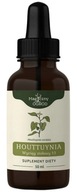 Houttuynia tinktúra 50 ml Čarovná záhrada Houttuynia tinktúra 50 ml Čarovná záhrada
