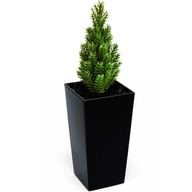 Kvetináč Kvetináč 19cm vložka Záhon Čierny LESK Kvetináč Kvetináč 19cm vložka Záhon Čierny LESK