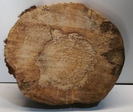 veľký plátok dreva 32x27 cm vŕba