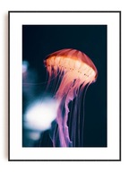 Medúza čierny fialový granát OBRAZ PLAKÁTU 15x21 A5