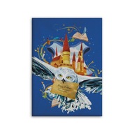 DEKA HARRY POTTER 100X140 DEKA PLED DEKA DEKA HARRY POTTER 100X140 DEKA PLED DEKA