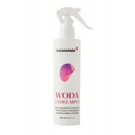 BIOELIXIRE Lamelárna voda na vlasy v spreji 250ml BIOELIXIRE Lamelárna voda na vlasy v spreji 250ml