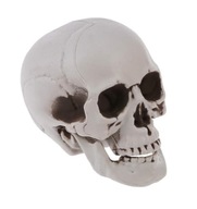 UMELÁ LEBEKA LEBEKA SIVÝ TIeňOVANÝ HALLOWEEN OZDOBA 11CM UMELÁ LEBEKA LEBEKA SIVÝ TIeňOVANÝ HALLOWEEN OZDOBA 11CM