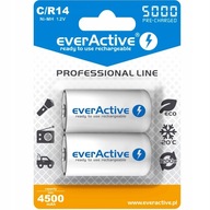 2x EVERACTIVE NI-MH C R14 5000 mAh BATÉRIE 2x EVERACTIVE NI-MH C R14 5000 mAh BATÉRIE