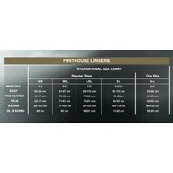 Bodystocking Penthouse Forbidden Fruit veľkosť. S/L P1 Bodystocking Penthouse Forbidden Fruit veľkosť. S/L P1