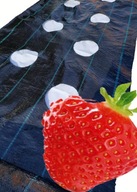 agrotextília OTVORY na VÝSEV veľmi HRUBÉ 95 g agrotextília OTVORY na VÝSEV veľmi HRUBÉ 95 g