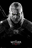 Zaklínač Geralt Toxicity Poisoning - plagát