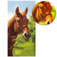 Osuška na kone 70x140 cm pre tínedžerov Osuška na kone 70x140 cm pre tínedžerov