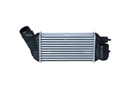 Chladič plniaceho vzduchu NRF 30376 Chladič plniaceho vzduchu NRF 30376