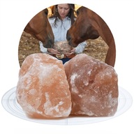 HIMALÁJSKA SOĽ Urob si sám kôň lízať 20KG HIMALÁJSKA SOĽ Urob si sám kôň lízať 20KG