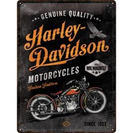 Kovový plagát 30x40cm Harley-Davidson Timeless T