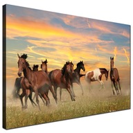 Obraz Horses run Obrázky na stenu Obraz Horses run Obrázky na stenu