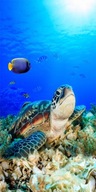 UTERÁK Veľká osuška delfín v oceánskom štýle UTERÁK Veľká osuška delfín v oceánskom štýle