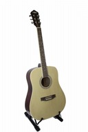 Akustická gitara Countryman CA-100NA dreadnought
