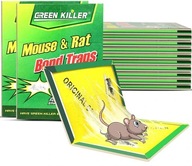 10x BUZZRAP LEP PAW PASCA NA MYŠI POKANY 10x BUZZRAP LEP PAW PASCA NA MYŠI POKANY