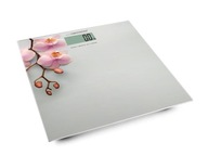 Kúpeľňová váha Esperanza EBS010 ''Orchidea''