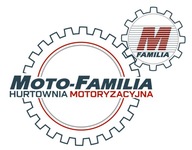 PROTECT LPG ČISTIČ BENZÍNOVÉHO SYSTÉMU 375 ML PROTECT LPG ČISTIČ BENZÍNOVÉHO SYSTÉMU 375 ML